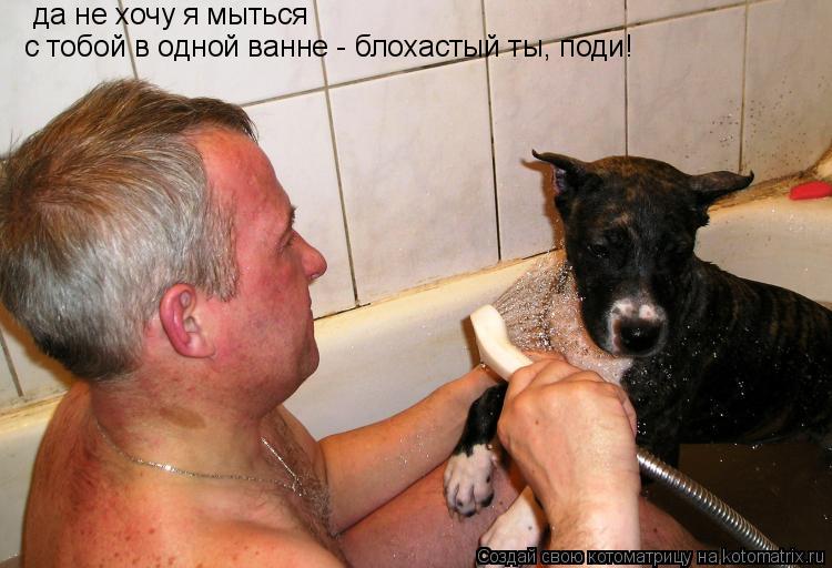 Котоматрица: да не хочу я мыться с тобой в одной ванне -  блохастый ты, поди!