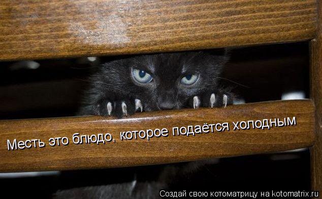 Котоматрица: Месть это блюдо, которое подаётся холодным  Месть это блюдо, которое подаётся холодным