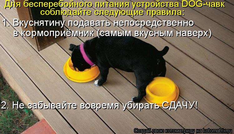 Котоматрица: Для бесперебойного питания устройства DOG-чавк соблюдайте следующие правила: 1. Вкуснятину подавать непосредственно в кормоприёмник (самым 