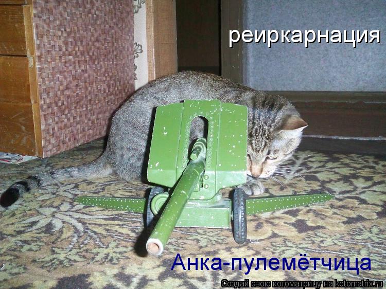 Котоматрица: реиркарнация Анка-пулемётчица