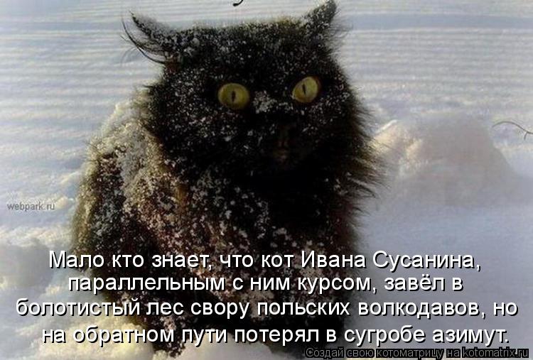 Котоматрица: болотистый лес свору польских волкодавов, но параллельным с ним курсом, завёл в  Мало кто знает, что кот Ивана Сусанина, на обратном пути пот
