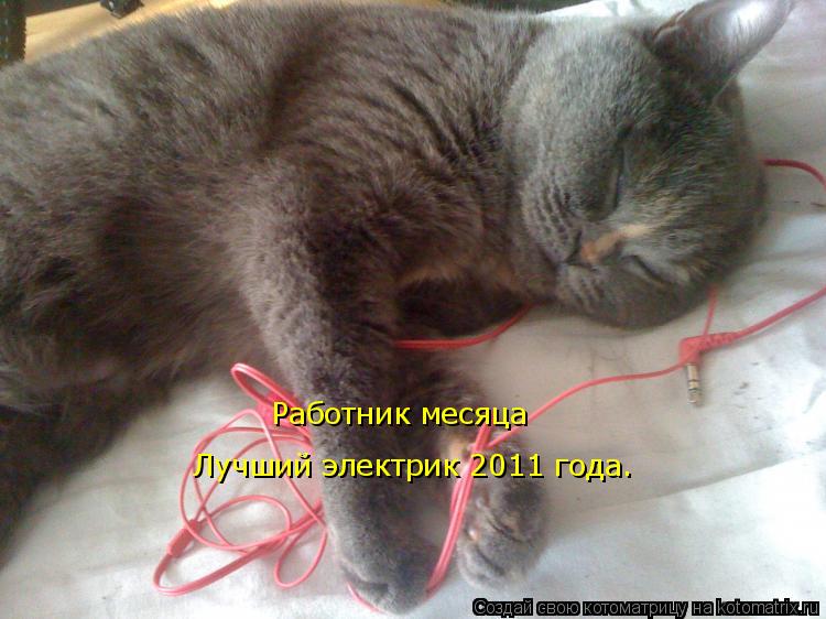 Котоматрица: Работник месяца Лучший электрик 2011 года.