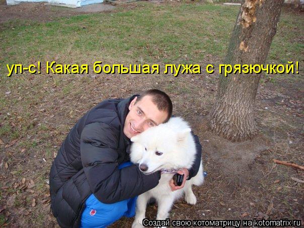 Котоматрица: уп-с! Какая большая лужа с грязючкой!