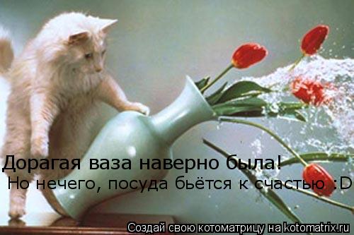 Котоматрица: Дорагая ваза наверно была! Но нечего, посуда бьётся к счастью :D