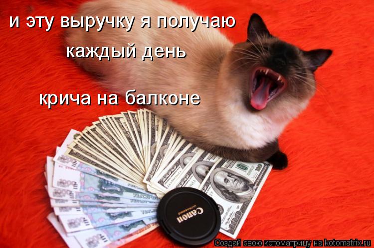 Котоматрица: и эту выручку я получаю каждый день крича на балконе