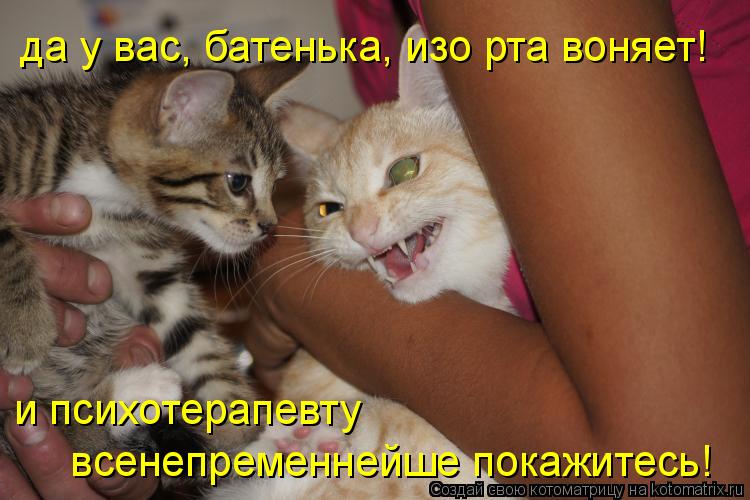 Котоматрица: да у вас, батенька, изо рта воняет! и психотерапевту  всенепременнейше покажитесь!