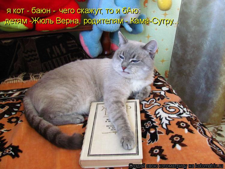 Котоматрица: я кот - баюн -  чего скажут, то и бАю:  детям -Жюль Верна, родителям - Кама-Сутру...