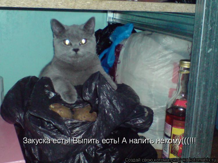 Котоматрица: Закуска есть! Выпить есть! А налить некому(((!!!