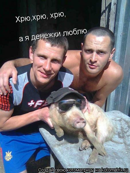 Котоматрица: Хрю,хрю, хрю, а я денежки люблю