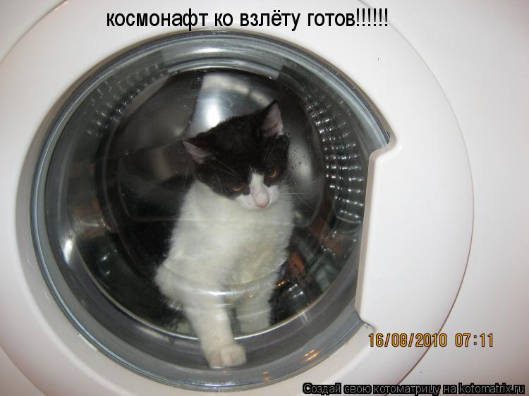 Котоматрица: космонафт ко взлёту готов !!!!!!