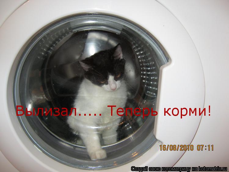 Котоматрица: Вылизал..... Теперь корми!