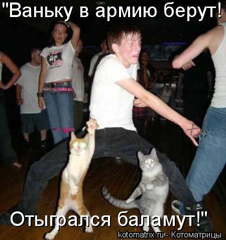 Котоматрица: "Ваньку в армию берут! Отыгрался баламут!"