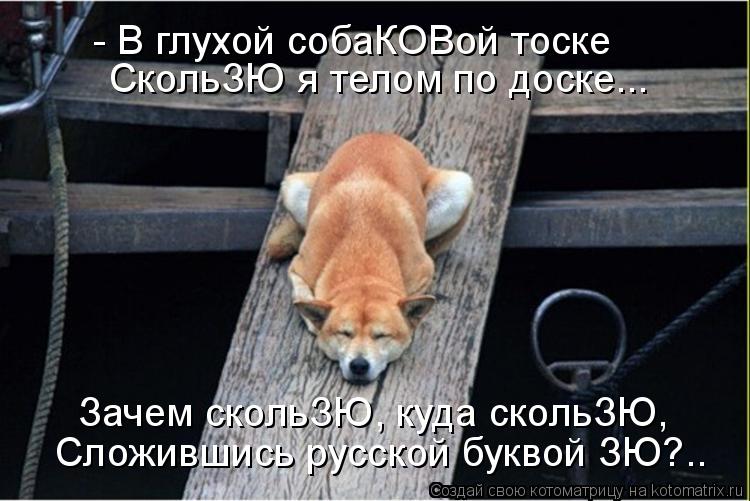 Котоматрица: - В глухой собаКОВой тоске СкольЗЮ я телом по доске... Зачем скольЗЮ, куда скольЗЮ, Сложившись русской буквой ЗЮ?..