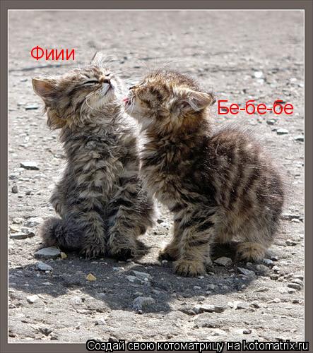 Фиии Бе-бе-бе... Котоматрица: Фиии Бе-бе-бе