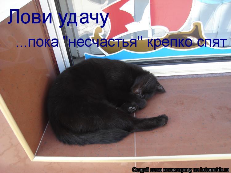 Котоматрица: Лови удачу ...пока "несчастья" крепко спят