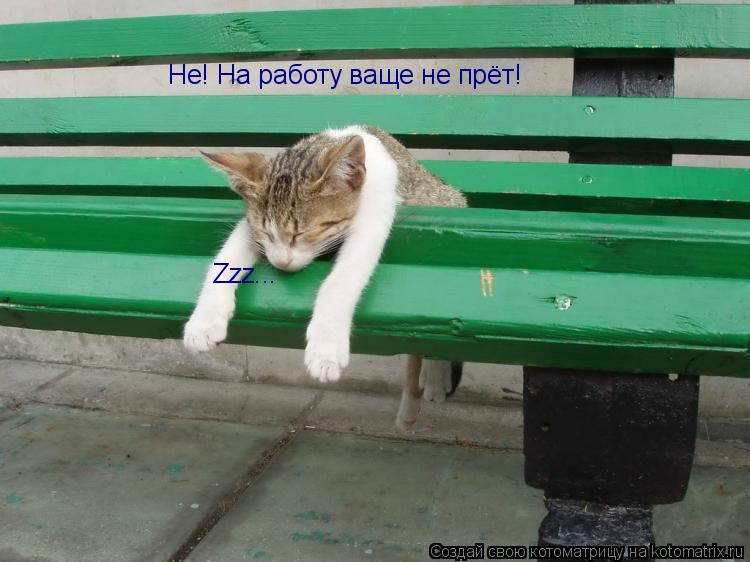 Котоматрица: Не! На работу ваще не прёт! Zzz...