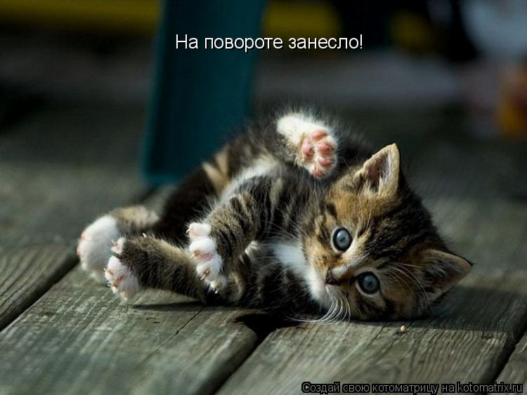 Котоматрица: На повороте занесло!