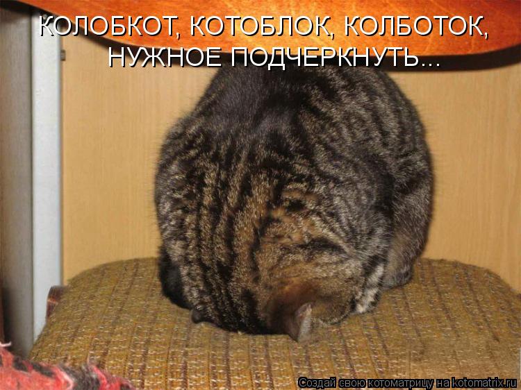 Котоматрица: КОЛОБКОТ, КОТОБЛОК, КОЛБОТОК,  НУЖНОЕ ПОДЧЕРКНУТЬ...