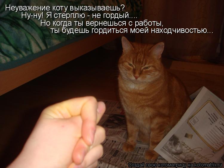 Котоматрица: Неуважение коту выказываешь?  Ну-ну! Я стерплю - не гордый.... Но когда ты вернешься с работы,   ты будешь гордиться моей находчивостью...