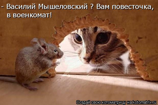 Котоматрица: - Василий Мышеловский ? Вам повесточка, в военкомат!