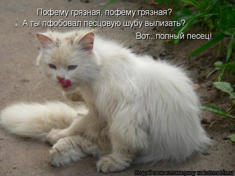 Котоматрица: Пофему грязная, пофему грязная? А ты пфобовал песцовую шубу вылизать? Вот...полный песец!