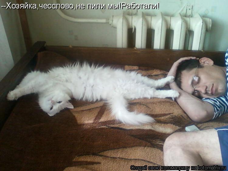 Котоматрица: --Хозяйка,чесслово,не пили мы!Работали!