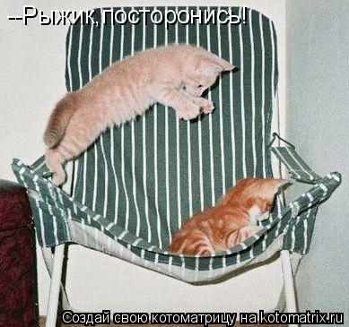 Котоматрица: --Рыжик,посторонись!