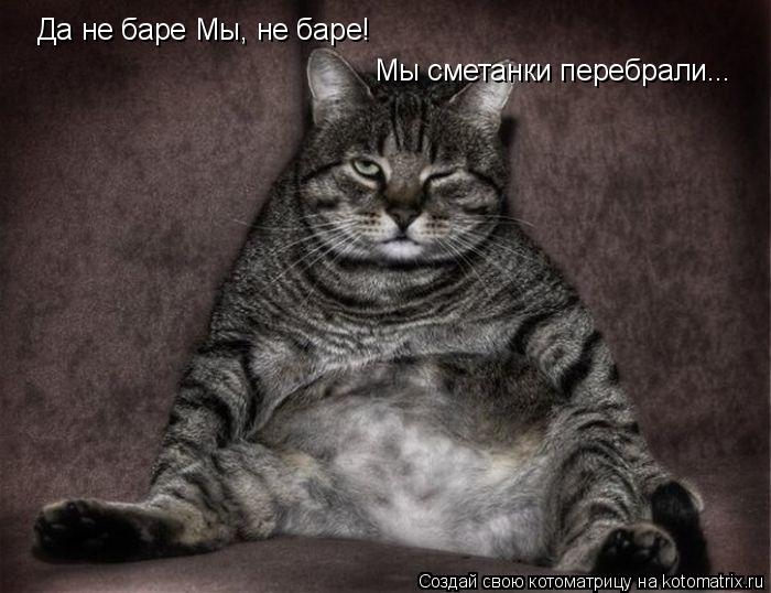 Котоматрица: Да не баре Мы, не баре! Мы сметанки перебрали...