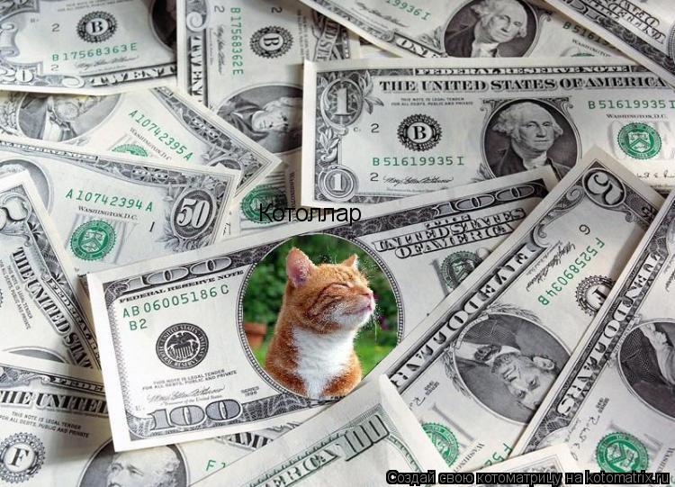 Котоматрица: Котоллар