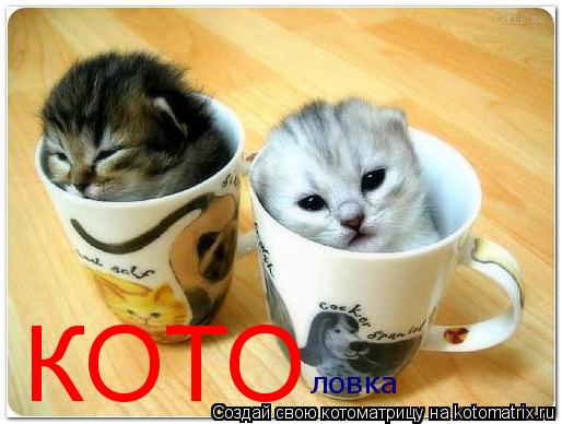 Котоматрица: КОТО ловка