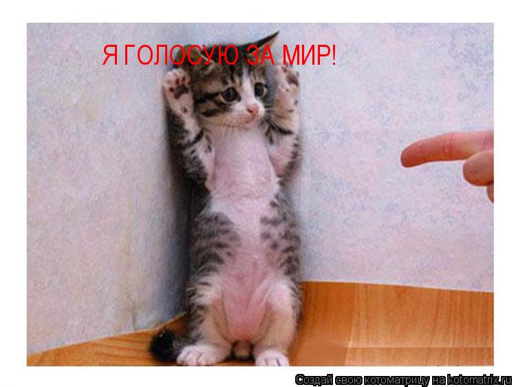 Котоматрица: Я ГОЛОСУЮ ЗА МИР!