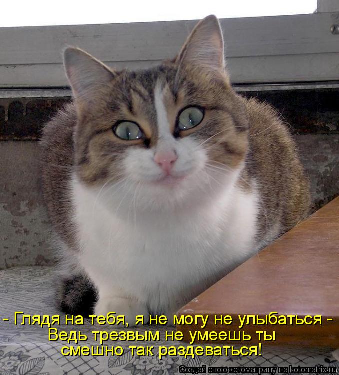 Котоматрица: - Глядя на тебя, я не могу не улыбаться -  Ведь трезвым не умеешь ты смешно так раздеваться!