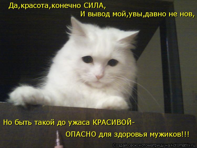 Котоматрица: Да,красота,конечно СИЛА, И вывод мой,увы,давно не нов, ОПАСНО для здоровья мужиков!!! Но быть такой до ужаса КРАСИВОЙ-
