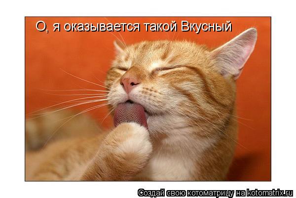 Котоматрица: О, я оказывается такой Вкусный