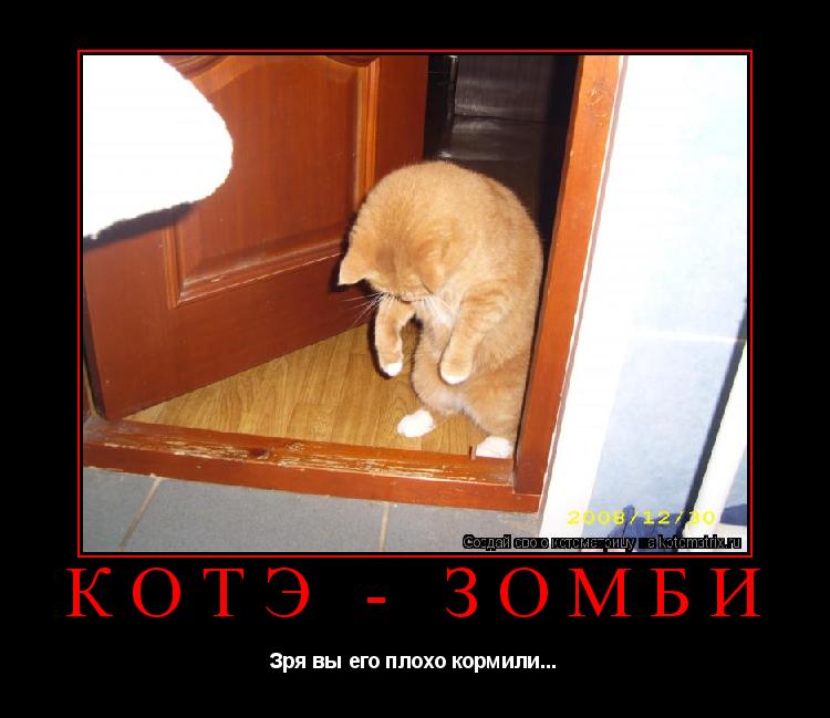 Котоматрица: Котэ - зомби Зря вы его плохо кормили...