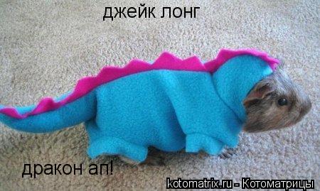 Котоматрица: джейк лонг дракон ап!