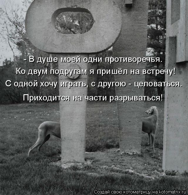 - В душе моей одни противоречья. Ко двум подругам я пришёл на встречу! С одной хочу играть, с другою ... Котоматрица: - В душе моей одни противоречья. Ко двум подругам я пришёл на встречу! С одной хочу играть, с другою - целоваться. Приходится на части разрыва