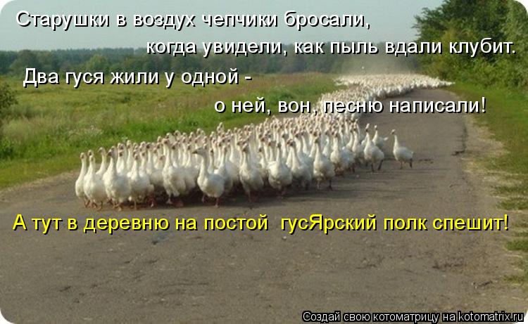 Старушки в воздух чепчики бросали, когда увидели, как пыль вдали клубит. Два гуся жили у одной - о не... Котоматрица: Старушки в воздух чепчики бросали, когда увидели, как пыль вдали клубит. Два гуся жили у одной - о ней, вон, песню написали! А тут в деревню на