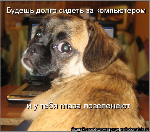 Котоматрица: Будешь долго сидеть за компьютером и у тебя глаза позеленеют