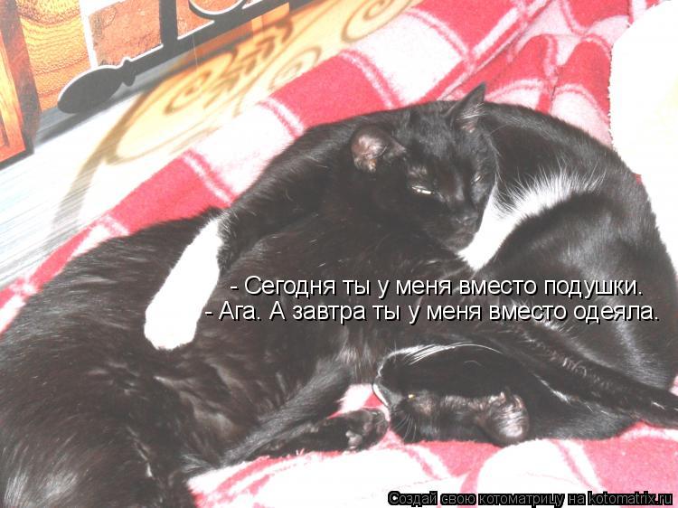 - Сегодня ты у меня вместо подушки. - Ага. А завтра ты у меня вместо одеяла.... Котоматрица: - Сегодня ты у меня вместо подушки. - Ага. А завтра ты у меня вместо одеяла.