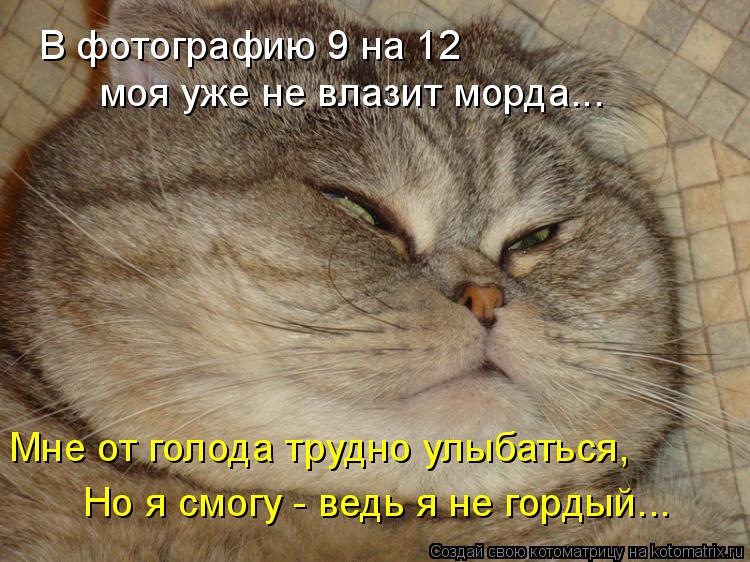 В фотографию 9 на 12 моя уже не влазит морда... Мне от голода трудно улыбаться, Но я смогу - ведь я... Котоматрица: В фотографию 9 на 12 моя уже не влазит морда... Мне от голода трудно улыбаться, Но я смогу - ведь я не гордый...