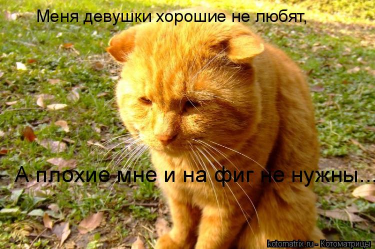 Меня девушки хорошие не любят, А плохие мне и на фиг не нужны...... Котоматрица: Меня девушки хорошие не любят, А плохие мне и на фиг не нужны...