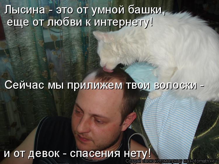 Лысина - это от умной башки, Сейчас мы прилижем твои волоски - еще от любви к интернету! и от девок... Котоматрица: Лысина - это от умной башки, Сейчас мы прилижем твои волоски - еще от любви к интернету! и от девок - спасения нету!