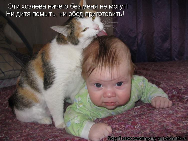 Эти хозяева ничего без меня не могут! Ни дитя помыть, ни обед приготовить!... Котоматрица: Эти хозяева ничего без меня не могут! Ни дитя помыть, ни обед приготовить!