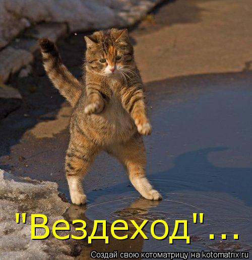 Котоматрица: "Вездеход"...