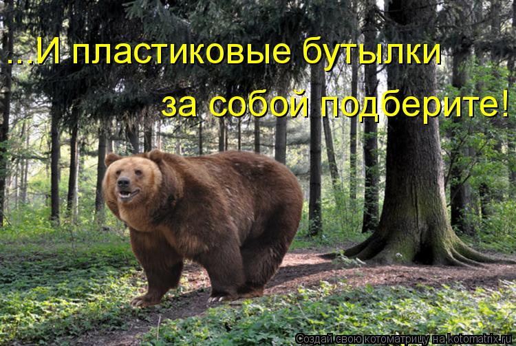 ...И пластиковые бутылки за собой подберите!... Котоматрица: ...И пластиковые бутылки за собой подберите!