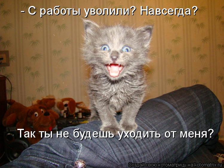 Котоматрица: Так ты не будешь уходить от меня? - С работы уволили? Навсегда?
