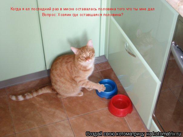 Котоматрица: Когда я ел последний раз в миске оставалась половина того что ты мне дал Вопрос: Хозяин где оставшаяся половина?