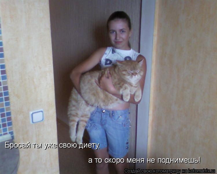 Котоматрица: Бросай ты уже свою диету, а то скоро меня не поднимешь!