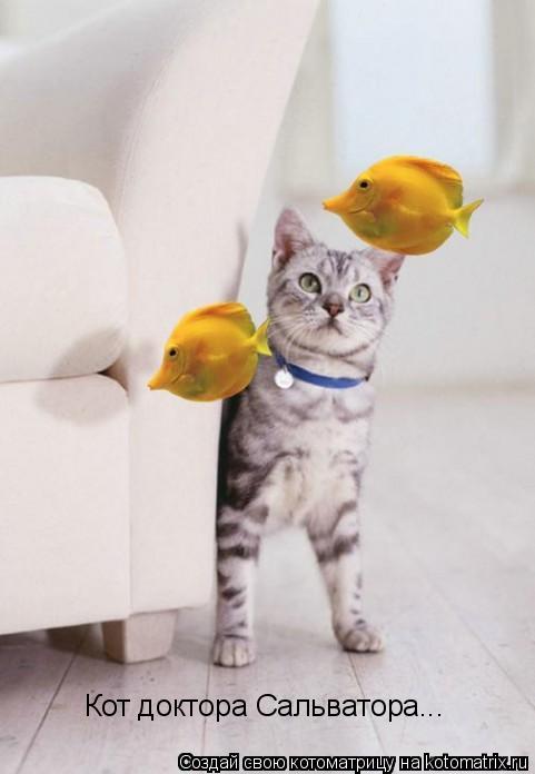 Котоматрица: Кот доктора Сальватора...